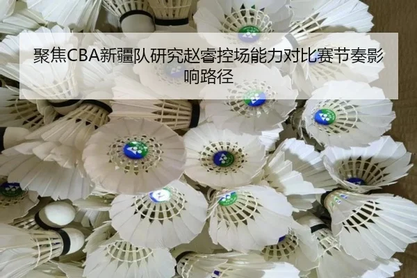 聚焦CBA新疆队研究赵睿控场能力对比赛节奏影响路径